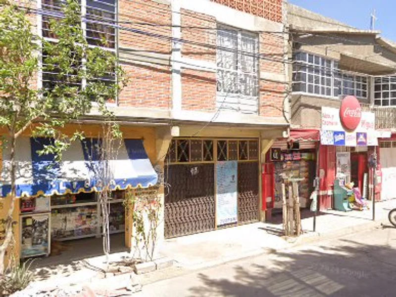 Fisioterapia Alejándrez