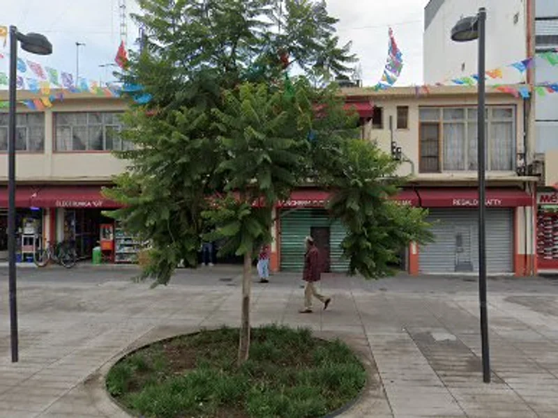 DENTAL MXI (CHALCO CENTRO)