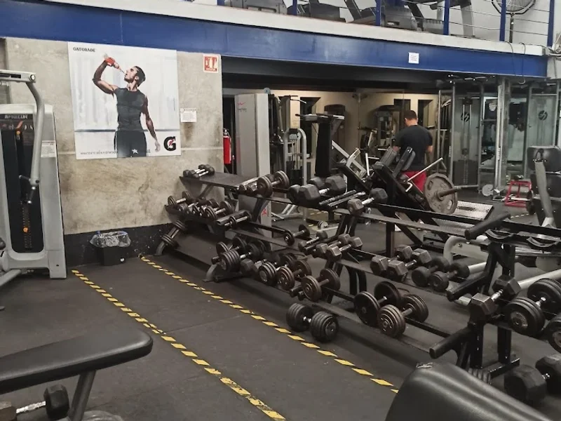 American Fitness México Nuevo