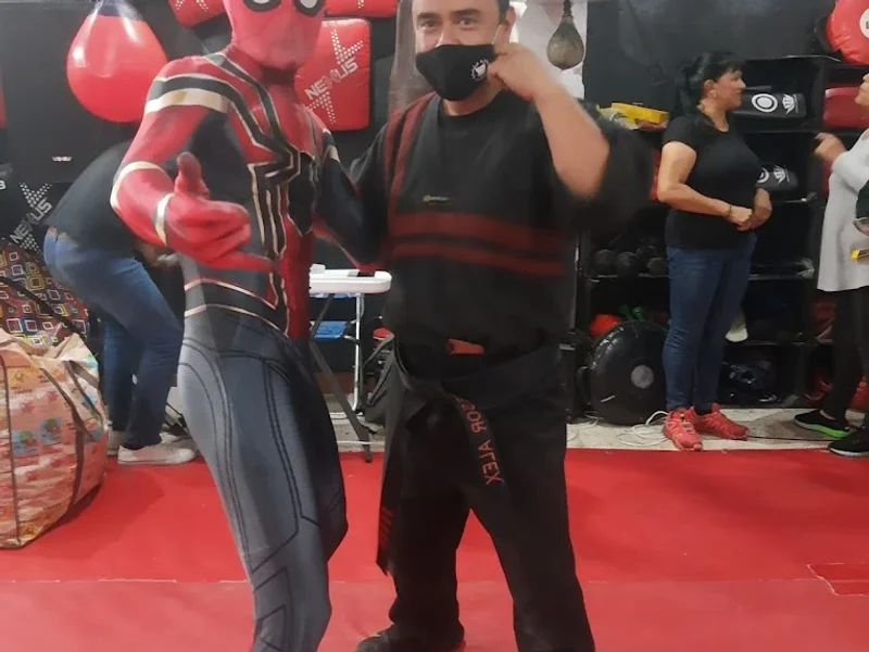 Academia de Box y MMA Pitbull's