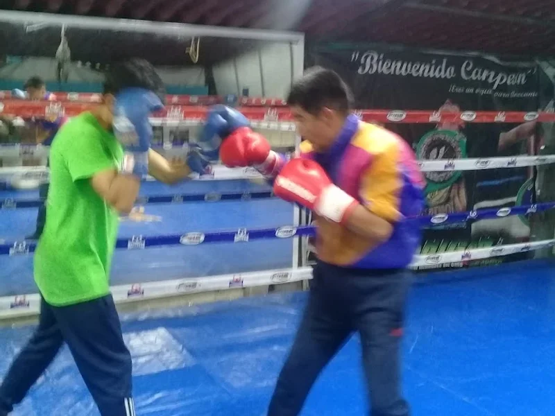 Maravilla Gym