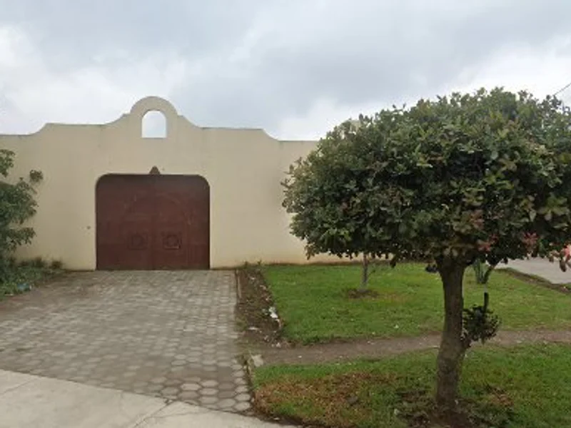 Lobos Taekwondo MX