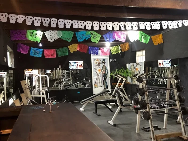 Max-Gym Amecameca