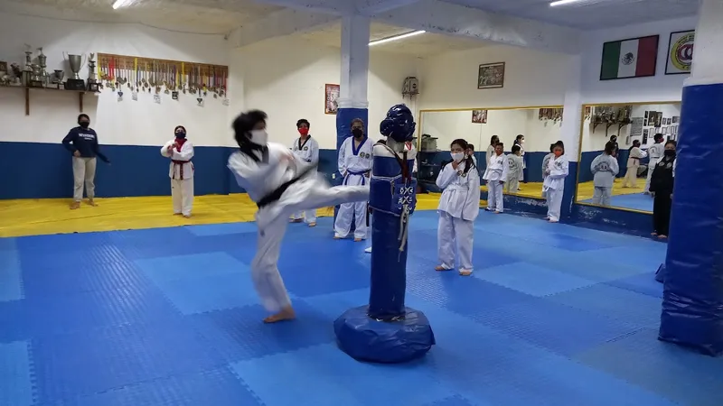 TaeKwonDo - MMW - MDK Chalco