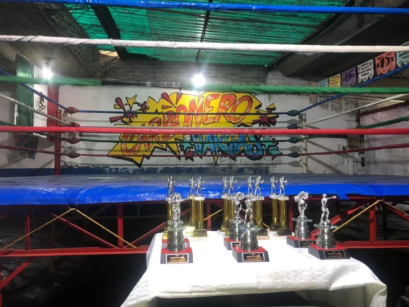 Escuela De Box Carbonero Vargas