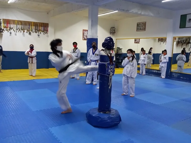 TaeKwonDo - MMW - MDK Chalco