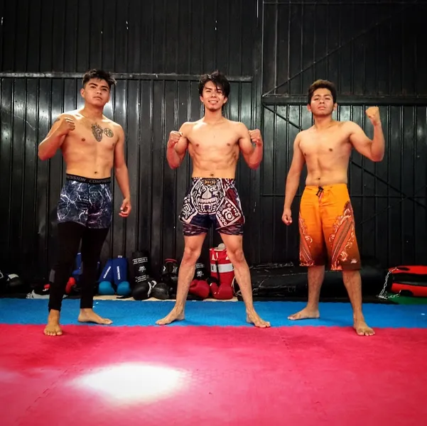 Team Poison Gym (Artes Marciales Mixtas)