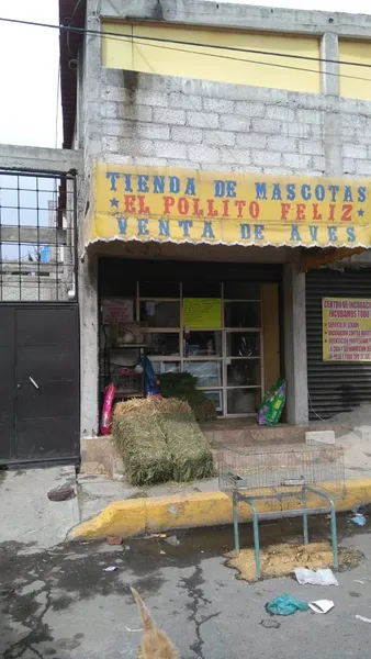 Tienda de mascotas "El pollito feliz"