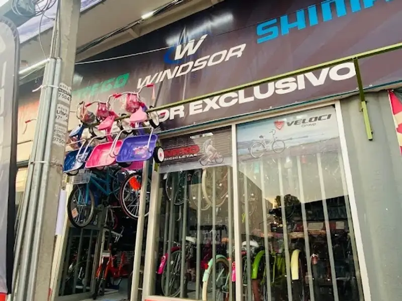 Benotto Chalco | Belfort Bikes