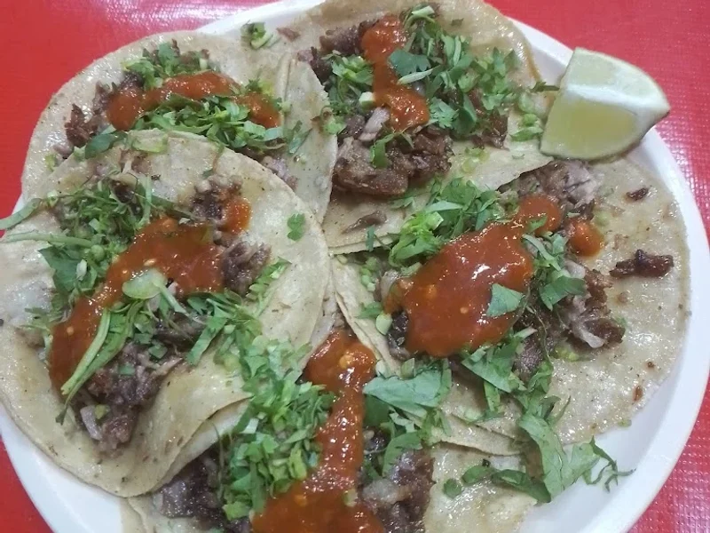 Taquería El Buhito