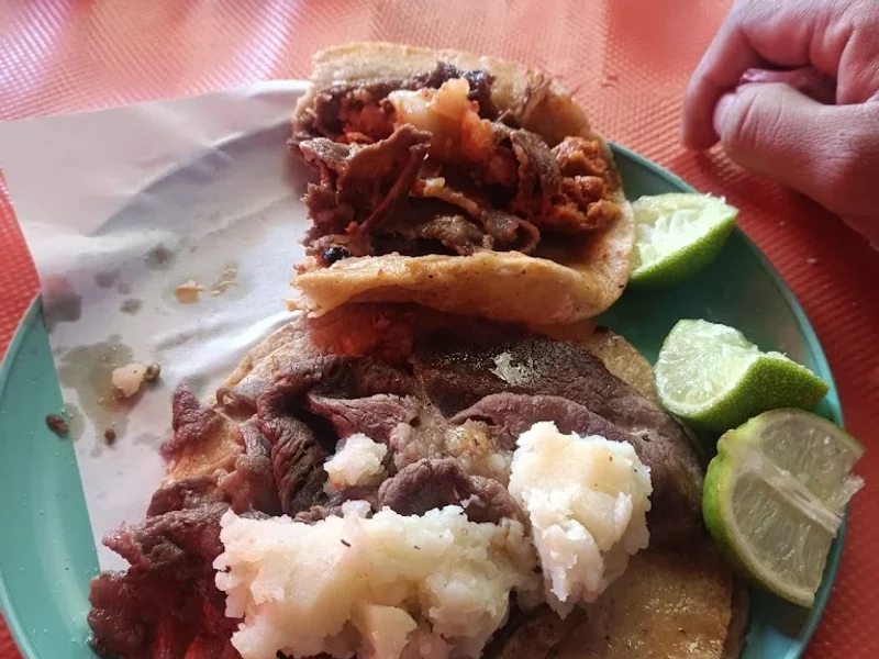 Tacos El Venado