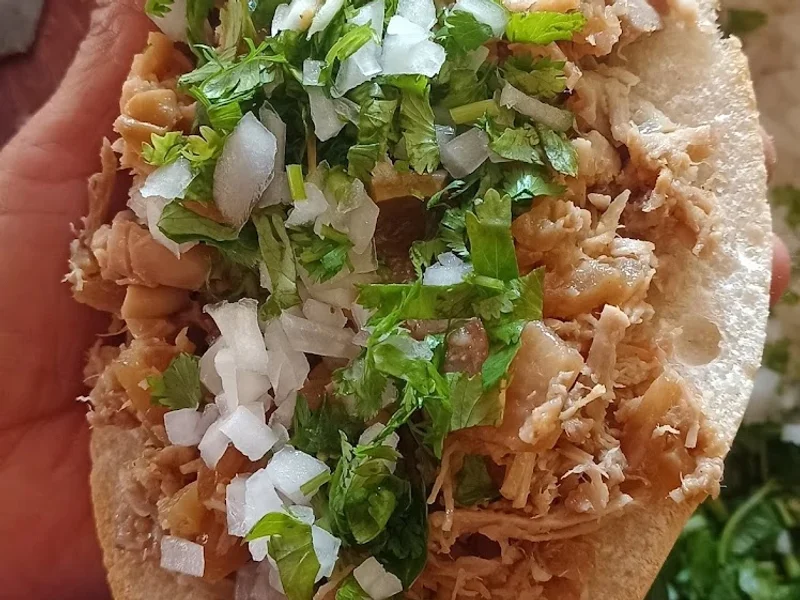 Carnitas El Paraiso de San Juan