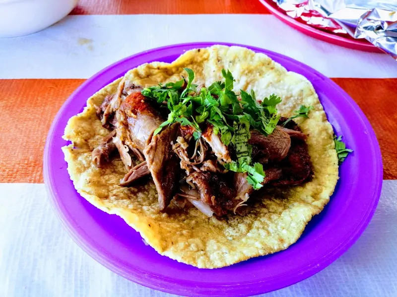 Barbacoa "El Borrego Salvaje"