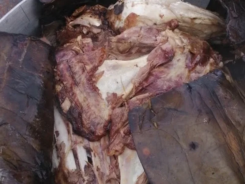 Barbacoa & Carnitas "EL ALEBRIJE"