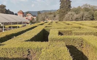 Los mejores 27 restaurantes de Amecameca de Juárez Amecameca