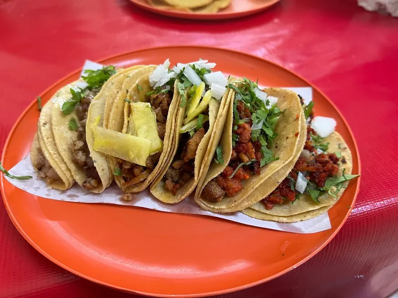 Taquería Tlalmanalco LRR