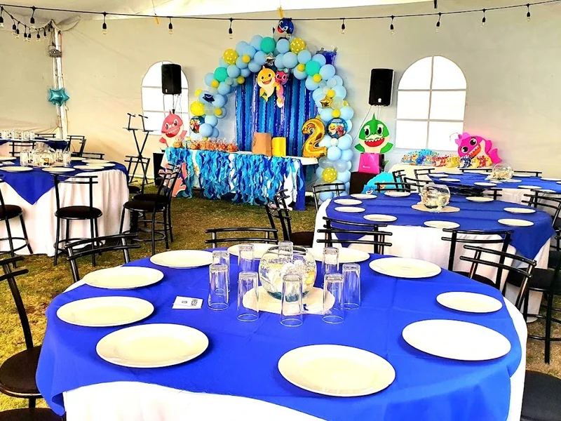 Volcano Salón & Jardín