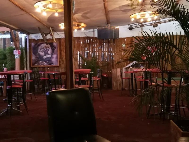 Las Camelias Snacks & Beer