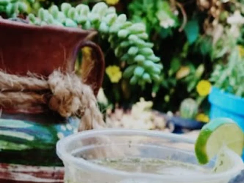 El changarrito de Danna