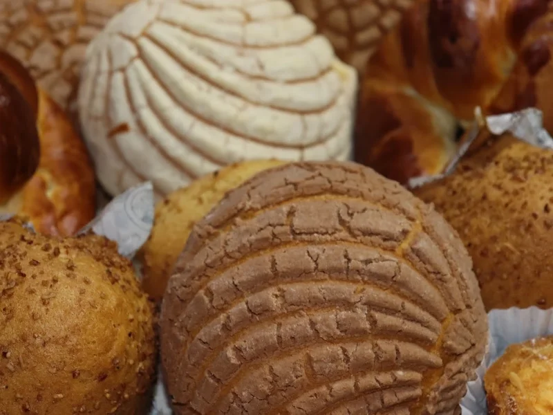 PANIFICADORA LA QUEMADA SA DE CV