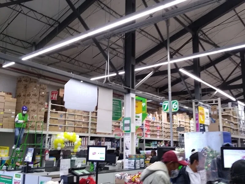 Mi Bodega Aurrerá AMECAMECA 1030