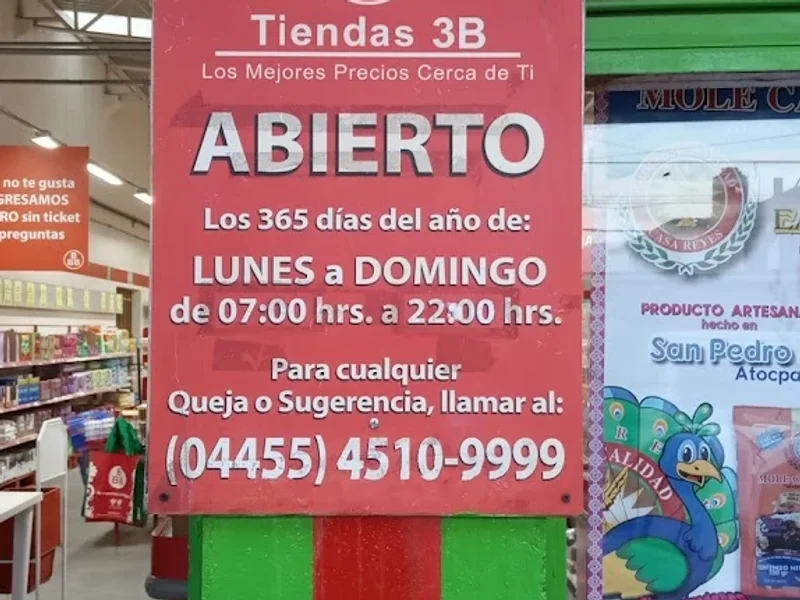 Tiendas 3B Ameca Hidalgo