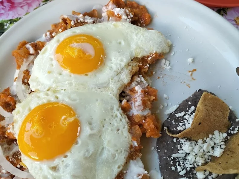 El jardín de Charly