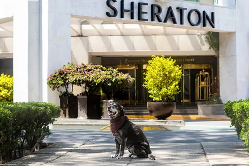 Sheraton María Isabel Hotel