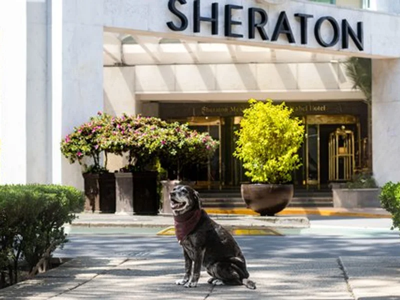 Sheraton María Isabel Hotel