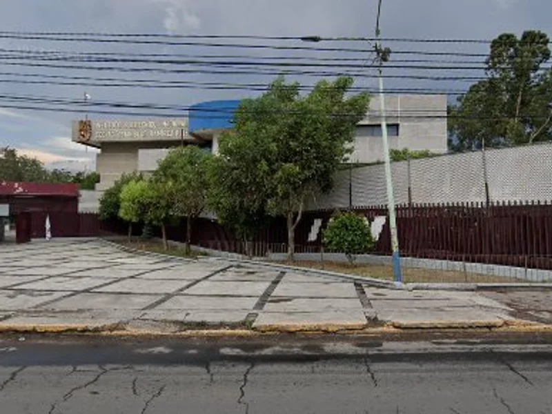 CELEx Cursos Extracurriculares de Lenguas Extranjeras