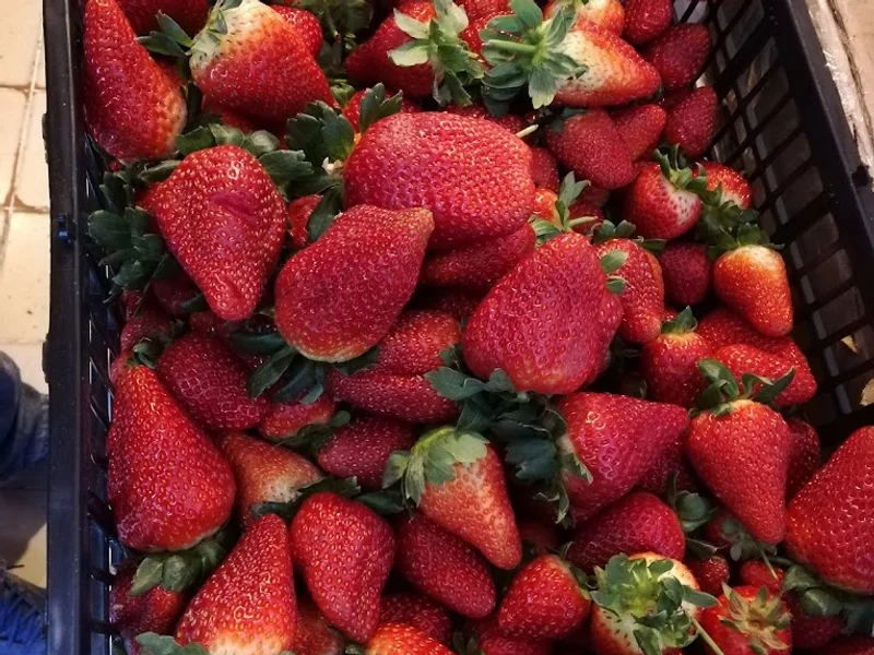 Jugos y Licuados "100% Natural" Ojo De Agua