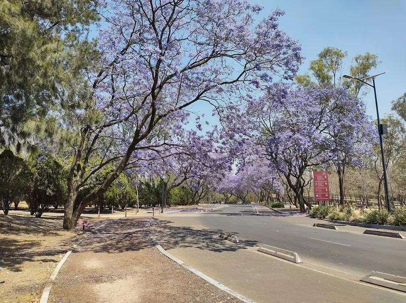 Parque La Tapatía