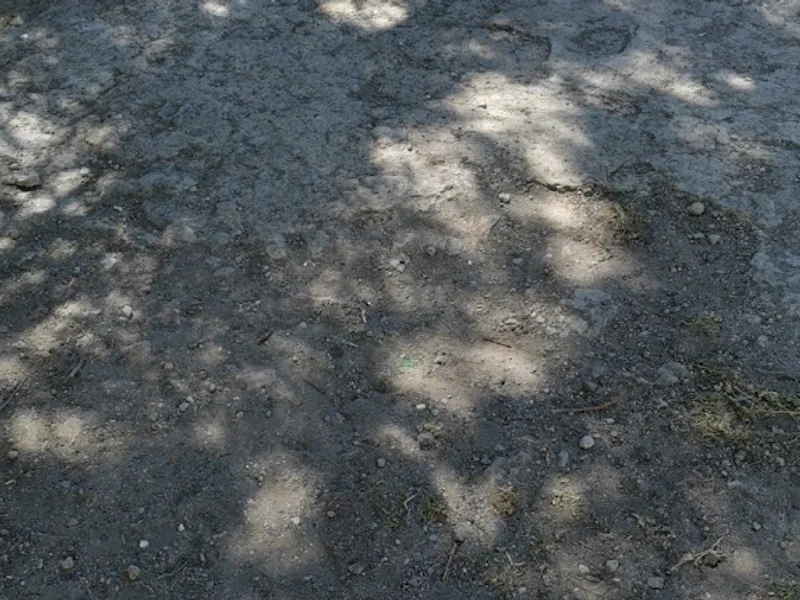 Parque Recreativo La Presa