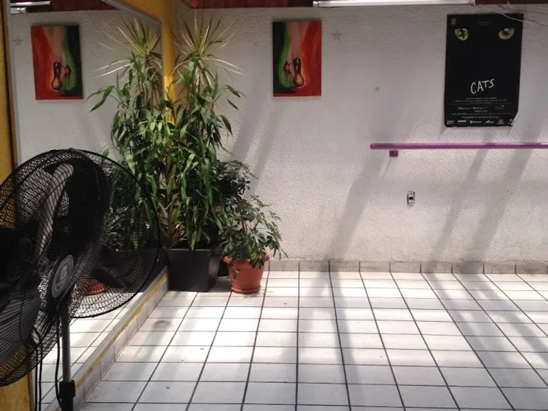 Baile Ozomatli Bienestar y Arte