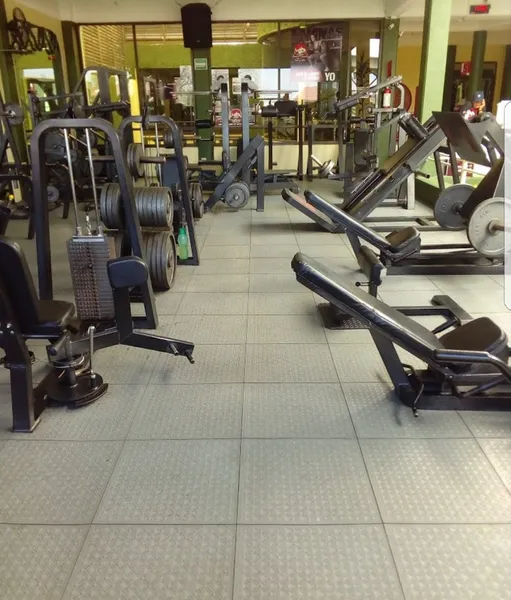 Iguanas Gym