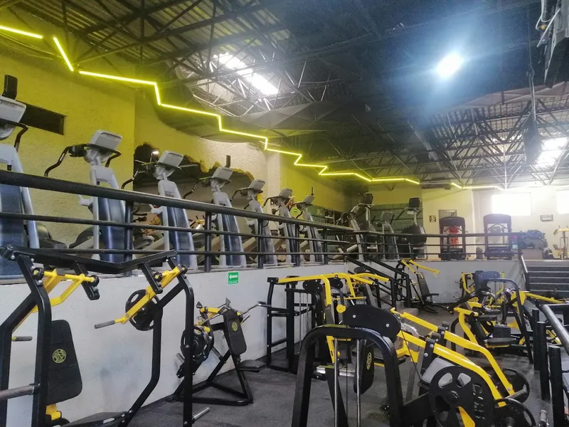 Cesar's Gym Platinum Ojo de Agua