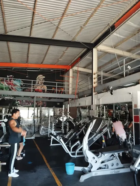 Sport Town Fitness Center