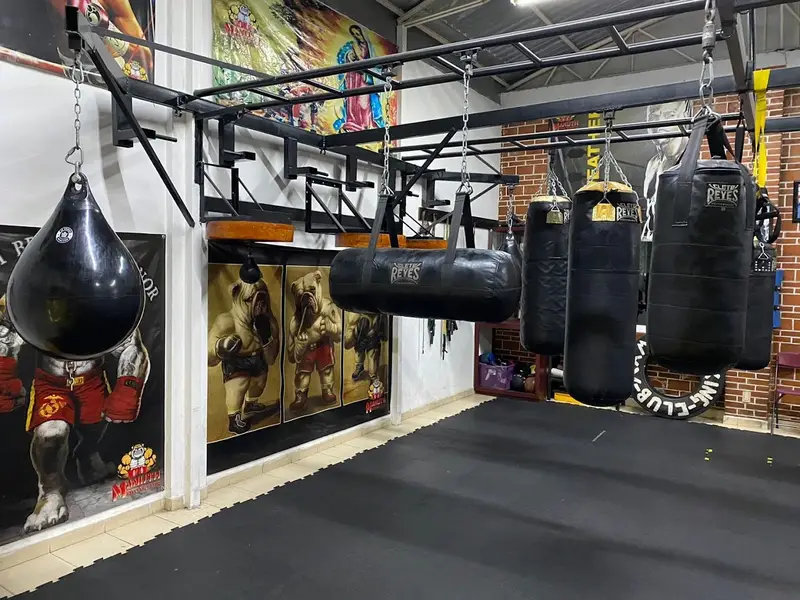 Yonekura Boxing Club