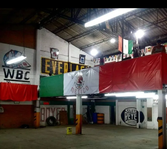 Boxeo mexico gym