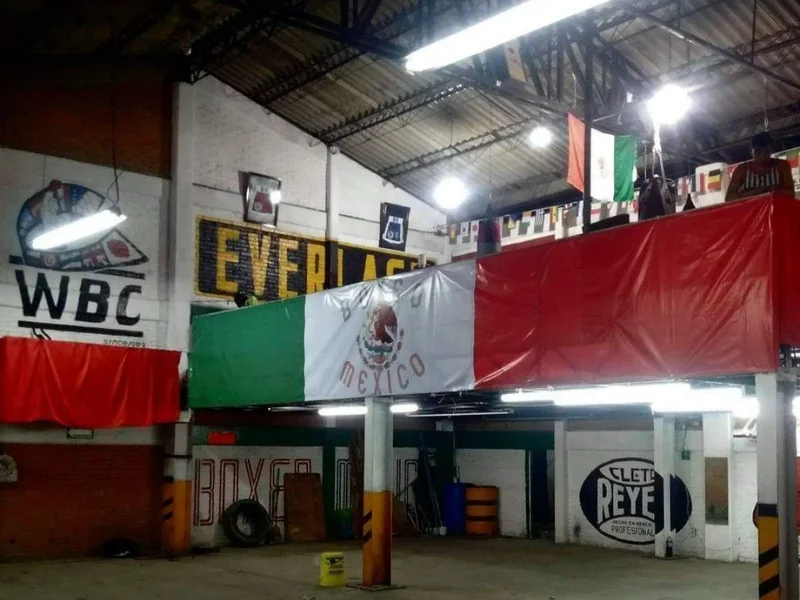 Boxeo mexico gym