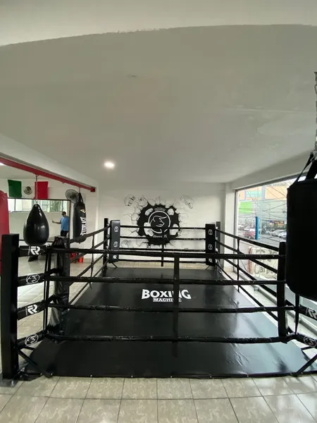 Boxing Machine