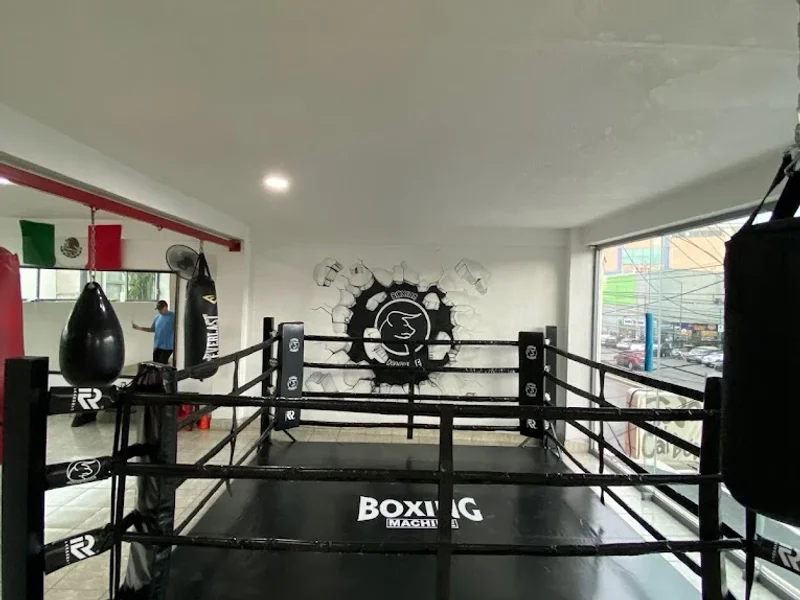 Boxing Machine