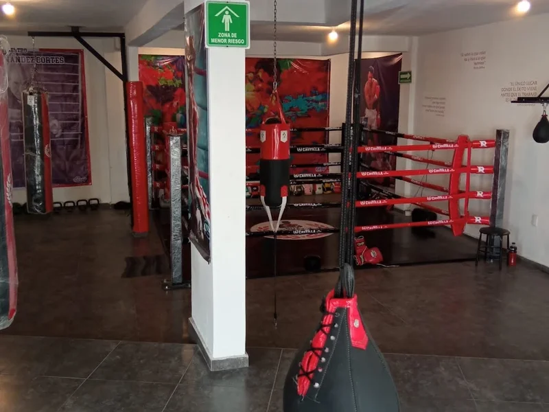 Box Castilla "Abel Hernández"