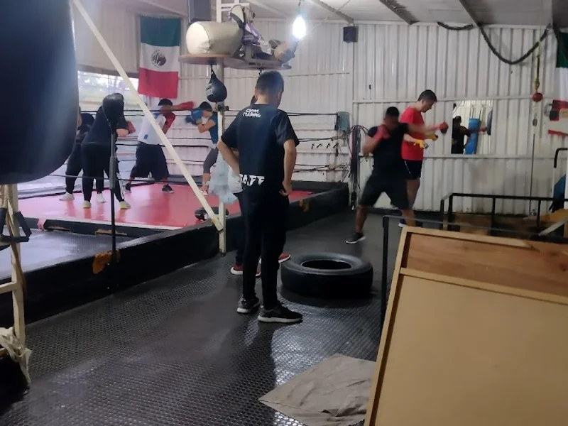 Escuela de box LADISLAO VAZQUEZ "EL CAMPEÓN"