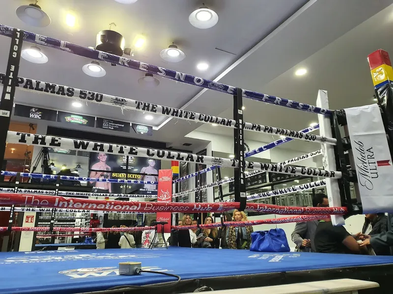 The White Collar Boxing Club