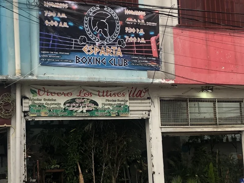 Gimnasio “Esparta Boxing Club”