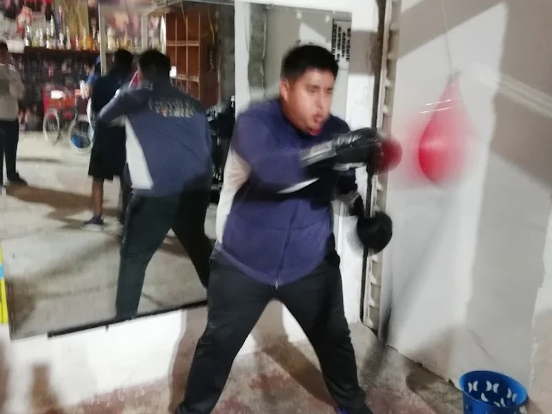 Escuela de box Moreno