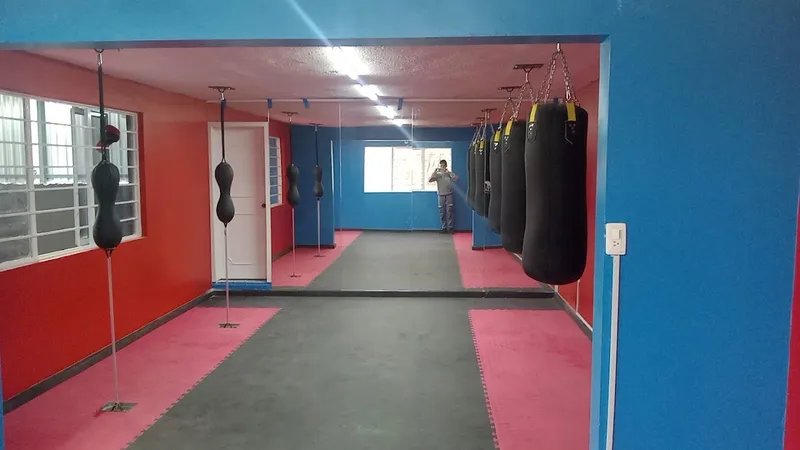 Escuela de Boxeo Cuervos