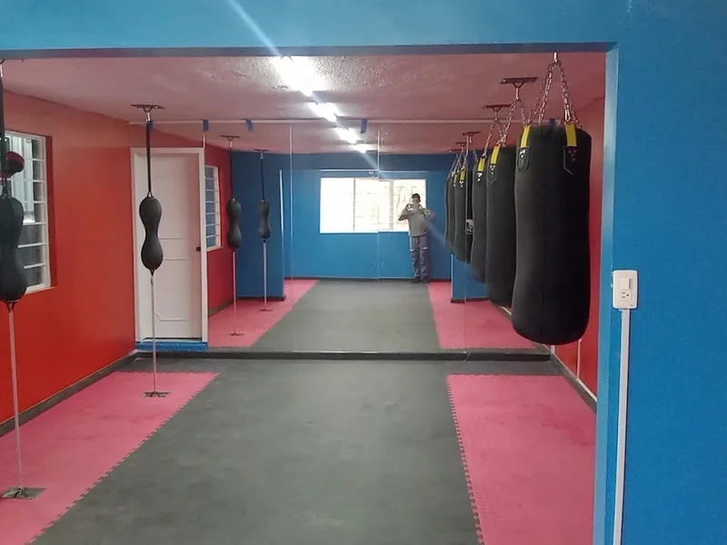 Escuela de Boxeo Cuervos