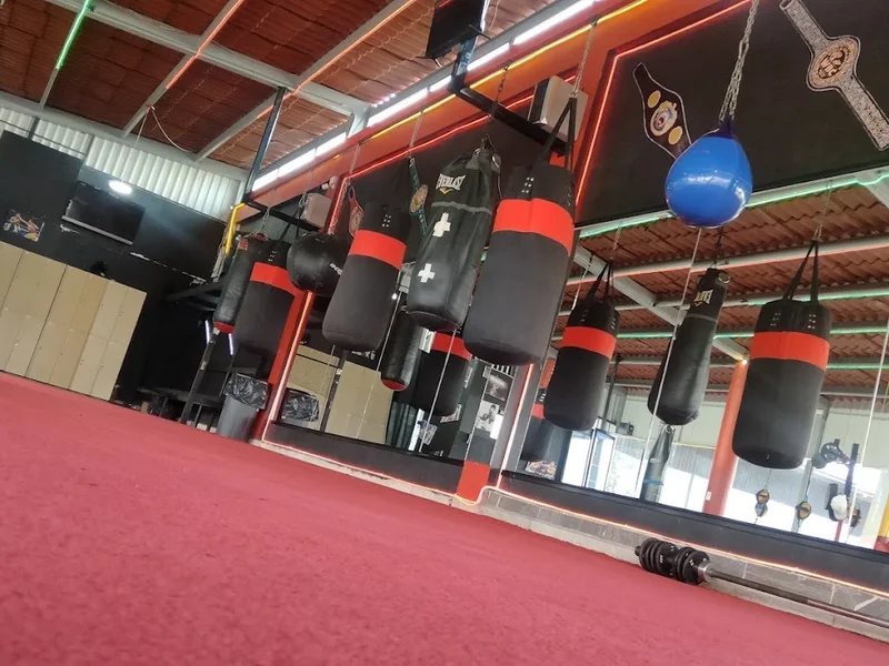 Fitbox - Sport Center